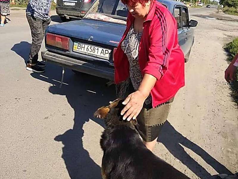 На Винничине собаку привязали цепью к такси и тащили через весь город. Фото